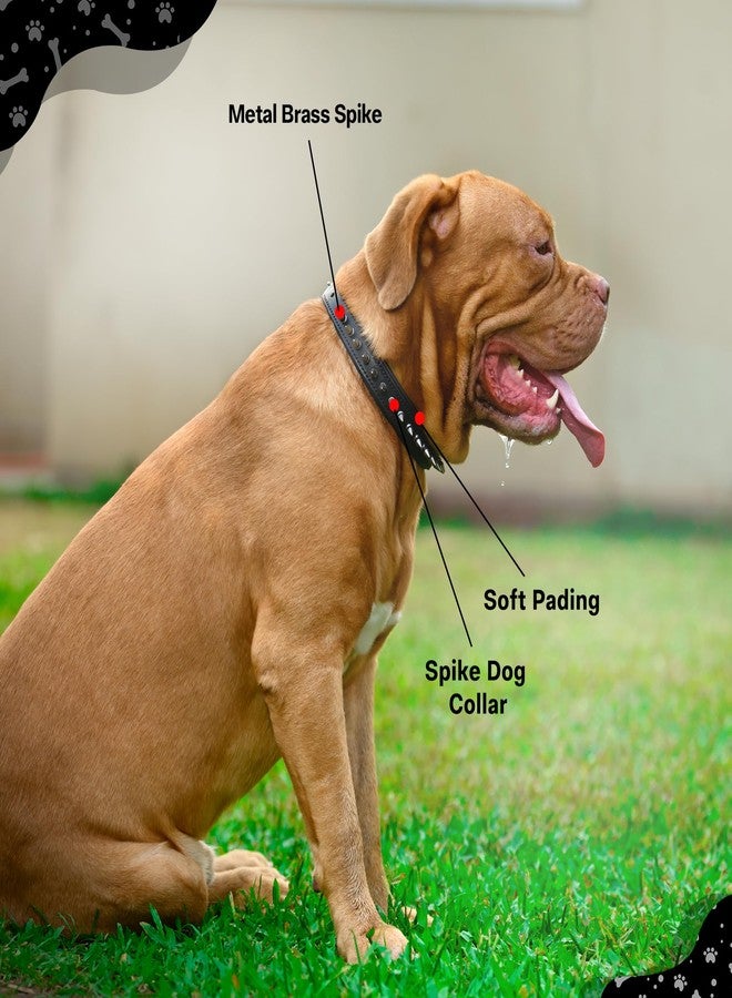 ADIL'S Adil’S Leather Spike Dog Collar for Small, Medium & Large Dogs with Strong Metal D-Ring, Adjustable Collar fits All Neck Size M, 1” Width, Black - Image 3